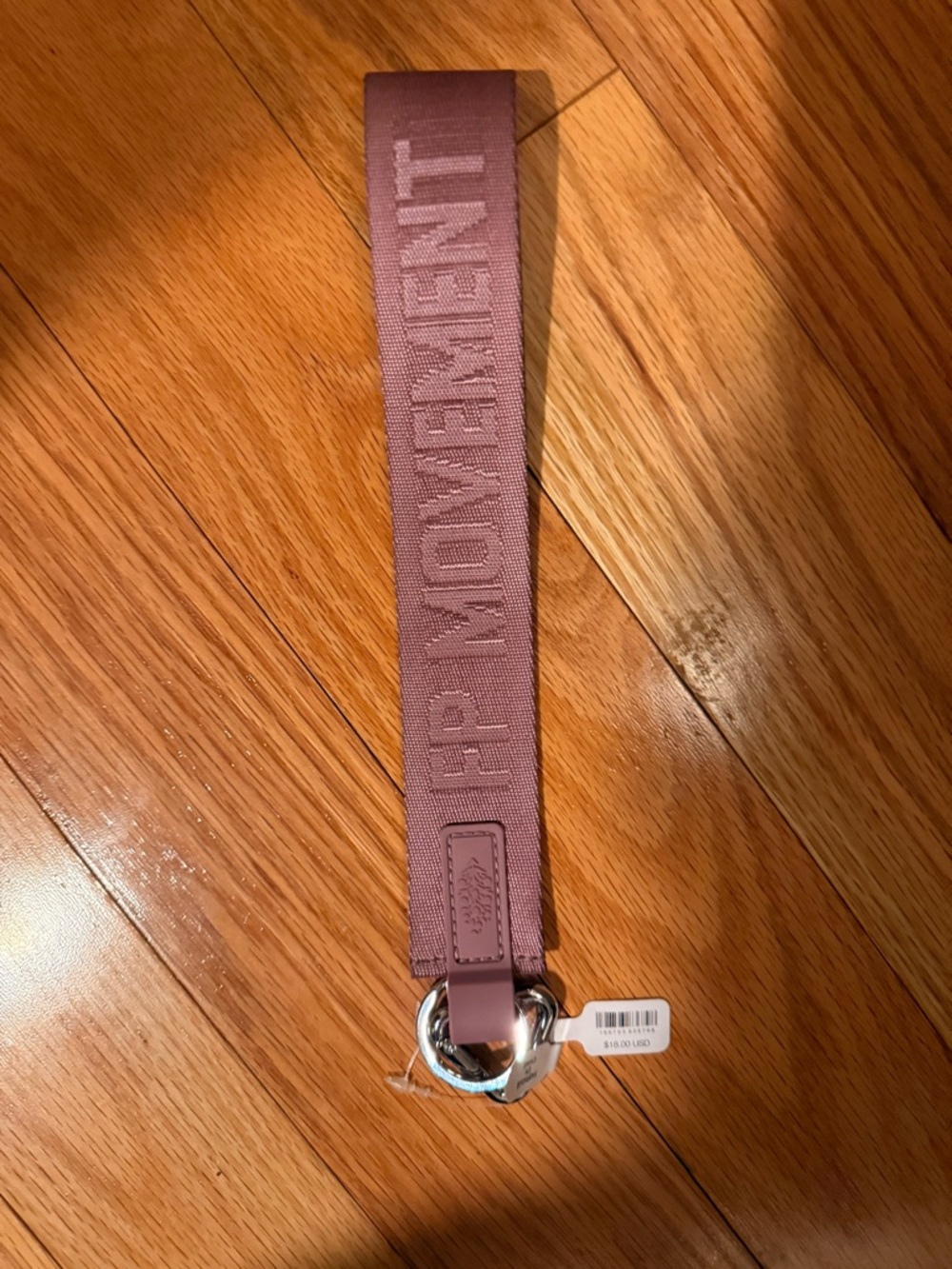 Free people Mauve Leather Strap Keychain with Silver Hardware